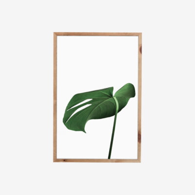 Framed Leaf Artwork